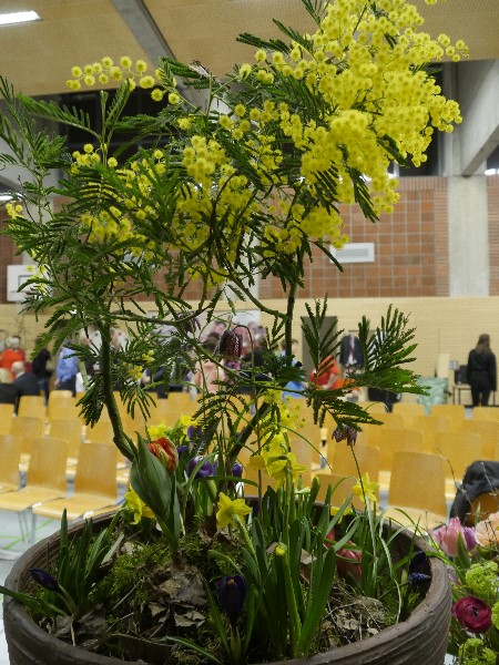 Images/_1080685.jpg